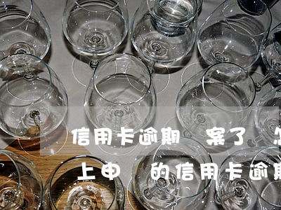 信用卡逾期備案了會怎么樣(網(wǎng)上申請的信用卡逾期了會怎么樣)