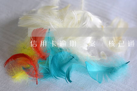 信用卡逾期備案審核已通過(信用用卡逾期)