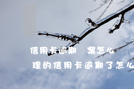 信用卡逾期備案怎么辦(網(wǎng)上辦理的信用卡逾期了怎么辦)