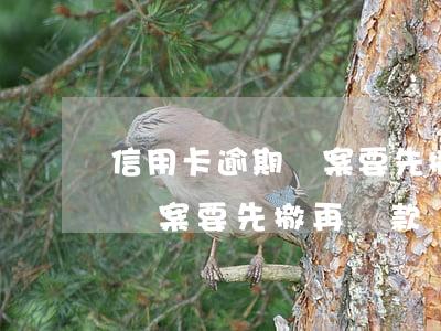 信用卡逾期備案要先撤再還款嗎(信用卡逾期備案要先撤再還款嗎)