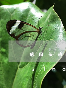 信用卡逾期備案要多久-欠信用卡說已經(jīng)在法院備案會多久立案
