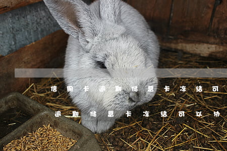 信用卡逾期储蓄卡冻结可以协商吗-信用卡逾期储蓄卡冻结可以协商吗
