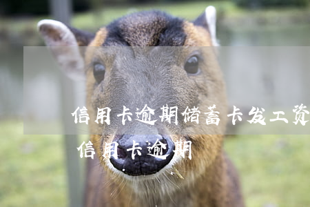 信用卡逾期储蓄卡发工资(老板不发工资导致信用卡逾期)