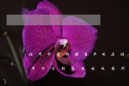 信用卡逾期储蓄卡被冻结能解除吗(还清了信用卡逾期款为啥被银行把卡冻结了)