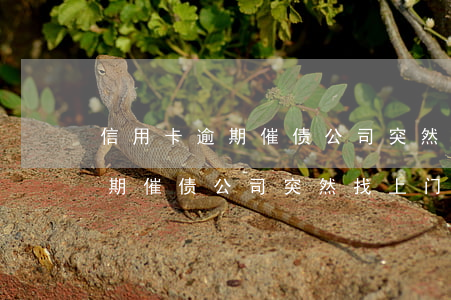 信用卡逾期催债公司突然找上门-信用卡逾期催债公司突然找上门怎么办