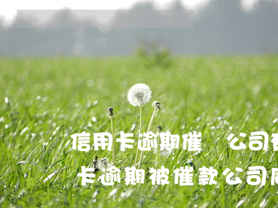 信用卡逾期催債公司有權(quán)(信用卡逾期被催款公司威脅怎么辦)