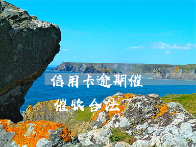 信用卡逾期催債騷擾單位(信用卡逾期到單位催收合法嗎)