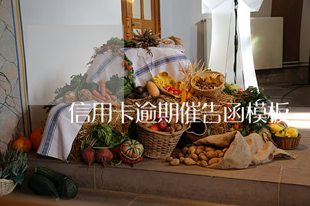信用卡逾期催告函模板-逾期催收函模板