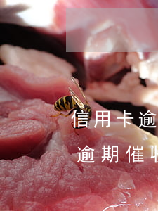信用卡逾期催收上門(mén)簽字(信用卡逾期催收要上門(mén)應(yīng)該告訴上班地址么)