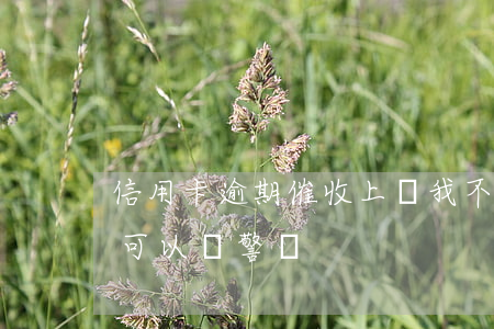信用卡逾期催收上門我不開門(逾期催收上門可以報警嗎)