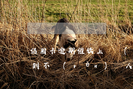 信用卡逾期催收上門發(fā)律師函了 收到不認(rèn)識人的信用卡催收律師函