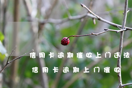 信用卡逾期催收上门违法吗知乎(2021年信用卡逾期上门催收)