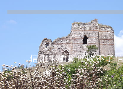 信用卡逾期催收不了(信用卡逾期催收不了怎么辦)