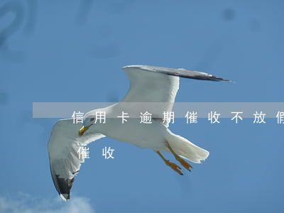 信用卡逾期催收不放假么(欠信用卡多久會被催收)