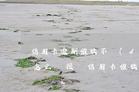 信用卡逾期催收不當(dāng)去哪投訴(怎么樣投訴信用卡催收)