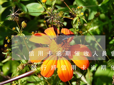 信用卡逾期催收人員會發(fā)函件嗎-銀行將信用卡逾期催收交給律師事務所