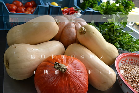 信用卡逾期催收人員說備案(律師事務(wù)所催收信用卡逾期流程)