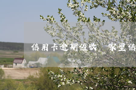 信用卡逾期催收來家里(信用卡到家里催收)