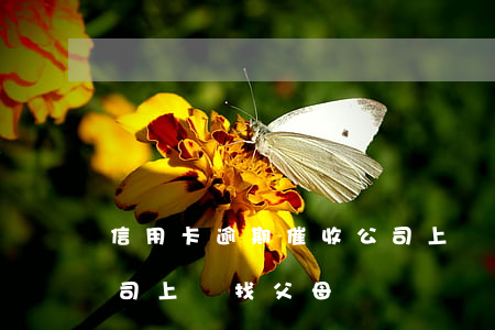 信用卡逾期催收公司上門(信用卡逾期催收公司上門找父母)
