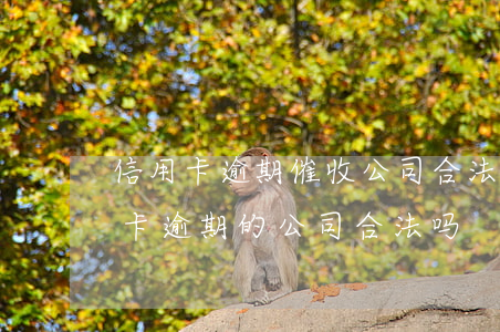 信用卡逾期催收公司合法吗(替银行催收信用卡逾期的公司合法吗)