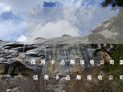 信用卡逾期催收公司業(yè)務員總結-信用卡逾期催收公司業(yè)務員總結報告