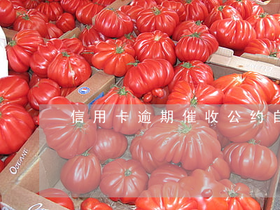 信用卡逾期催收公约自律(催收行业自律公约)