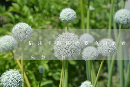 信用卡逾期催收函寄到老家怎么辦(收到逾期催款郵件)