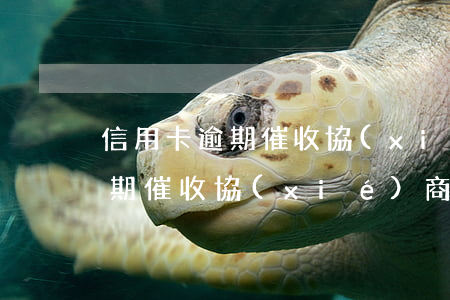 信用卡逾期催收協(xié)商-信用卡逾期催收協(xié)商還款