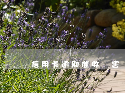 信用卡逾期催收厲害嗎(信用卡逾期催收厲害嗎)