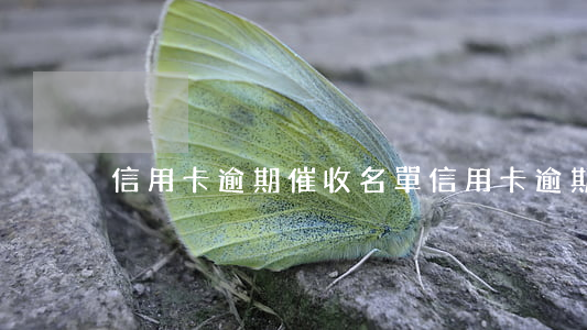 信用卡逾期催收名單 信用卡逾期催收方式
