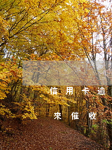 信用卡逾期催收后怎么還款(已還掉信用卡又來催收)