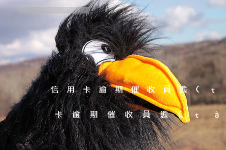 信用卡逾期催收員態(tài)度不好(信用卡逾期催收員態(tài)度不好投訴)