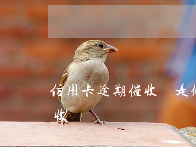 信用卡逾期催收員是做什么的(有逾期能做催收員嗎)