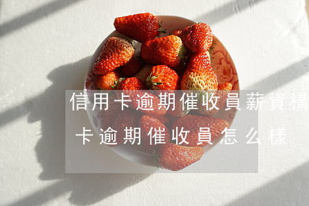信用卡逾期催收員薪資構(gòu)成(銀行卡逾期催收員怎么樣)