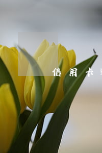 信用卡逾期催收單會(huì)寄到哪里