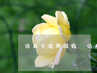 信用卡逾期催收嗎(信用卡逾期催收方式)