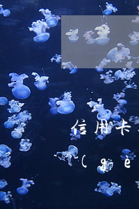 信用卡逾期催收多次未還 欠信用卡逾期3個(gè)月以上,銀行催收怎么辦?