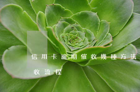 信用卡逾期催收幾種方法(信用卡逾期銀行催收流程)
