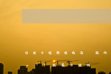 信用卡逾期催收恐嚇被拘留(欠信用卡會(huì)被暴力催收嗎)