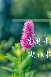 信用卡逾期催收打電話給村委會-信用卡逾期催收打電話給村委會有用嗎