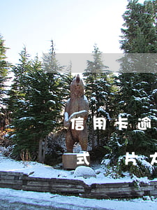 信用卡逾期催收方式圖片 信用卡逾期催收方式圖片大全