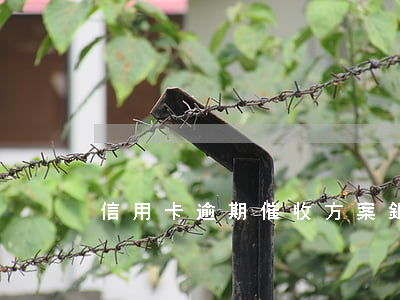 信用卡逾期催收方案(銀行催收信用卡)