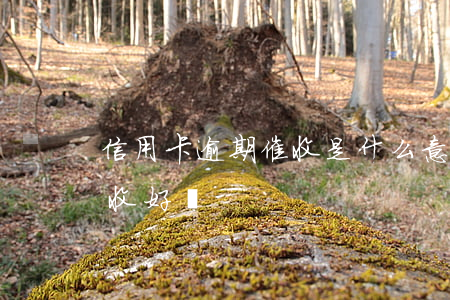 信用卡逾期催收是什么意思(做信用卡逾期催收好嗎)