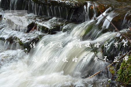信用卡逾期催收暗示有不正常消費-信用卡逾期催收暗示有不正常消費怎么辦