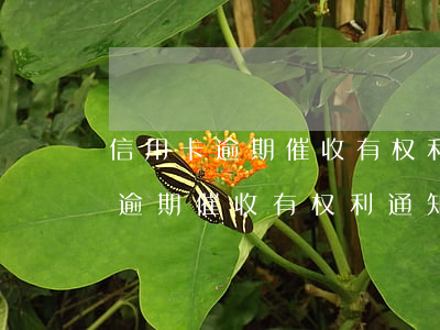 信用卡逾期催收有权利通知父母吗-信用卡逾期催收有权利通知父母吗知乎