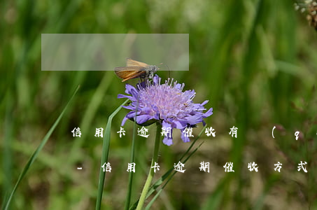 信用卡逾期催收有權(quán)利起訴嗎-信用卡逾期催收方式