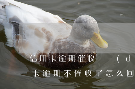 信用卡逾期催收沒動(dòng)靜了(信用卡逾期不催收了怎么回事)