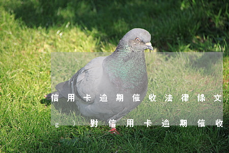 信用卡逾期催收法律條文(怎么樣應(yīng)對信用卡逾期催收電話?)
