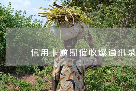 信用卡逾期催收爆通讯录吗(信用卡 爆通讯录)