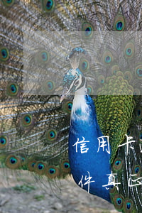 信用卡逾期催收發(fā)來(lái)郵件(真正的信用卡催收函)